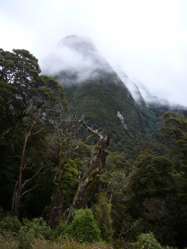 Travel - New Zealand - Fiordland